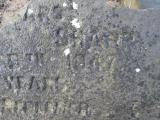 image of grave number 371598